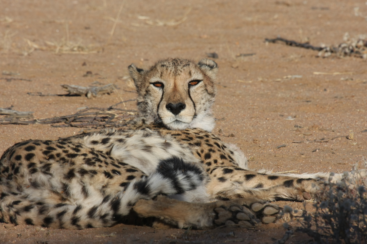 [870] 2016_06_22_02_47_07_Africa_Canon_EOS_40D_IMG__00112.jpg