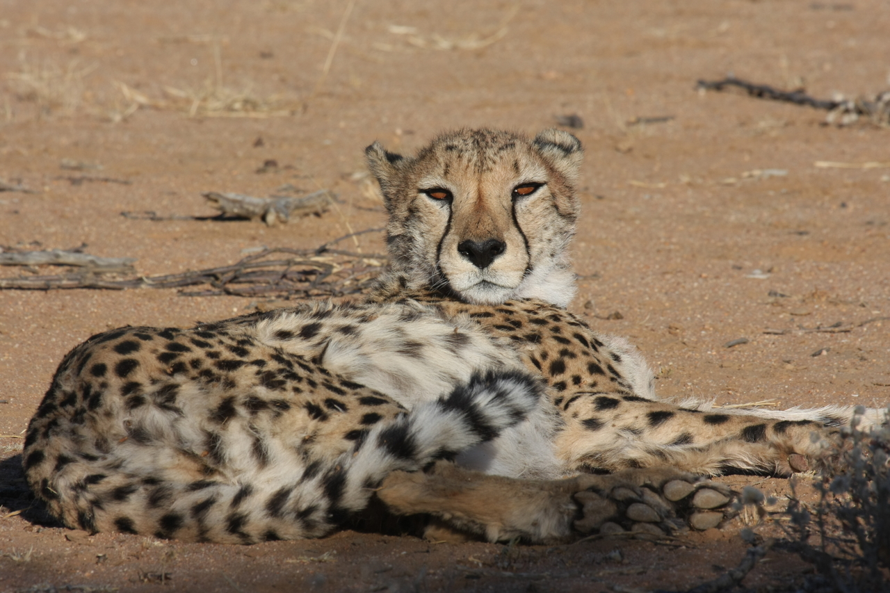 [878] 2016_06_22_02_47_10_Africa_Canon_EOS_40D_IMG__00114.jpg