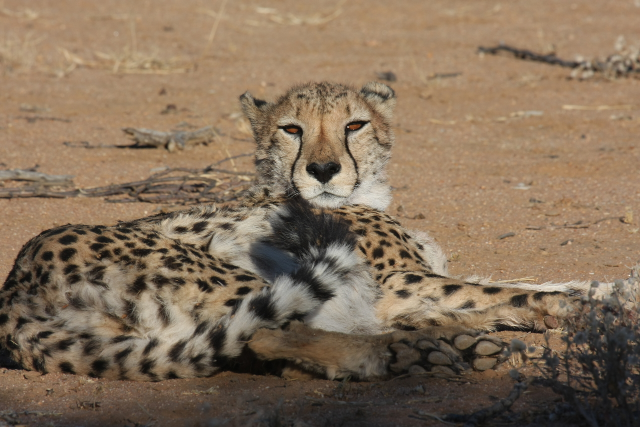 [882] 2016_06_22_02_47_11_Africa_Canon_EOS_40D_IMG__00116.jpg