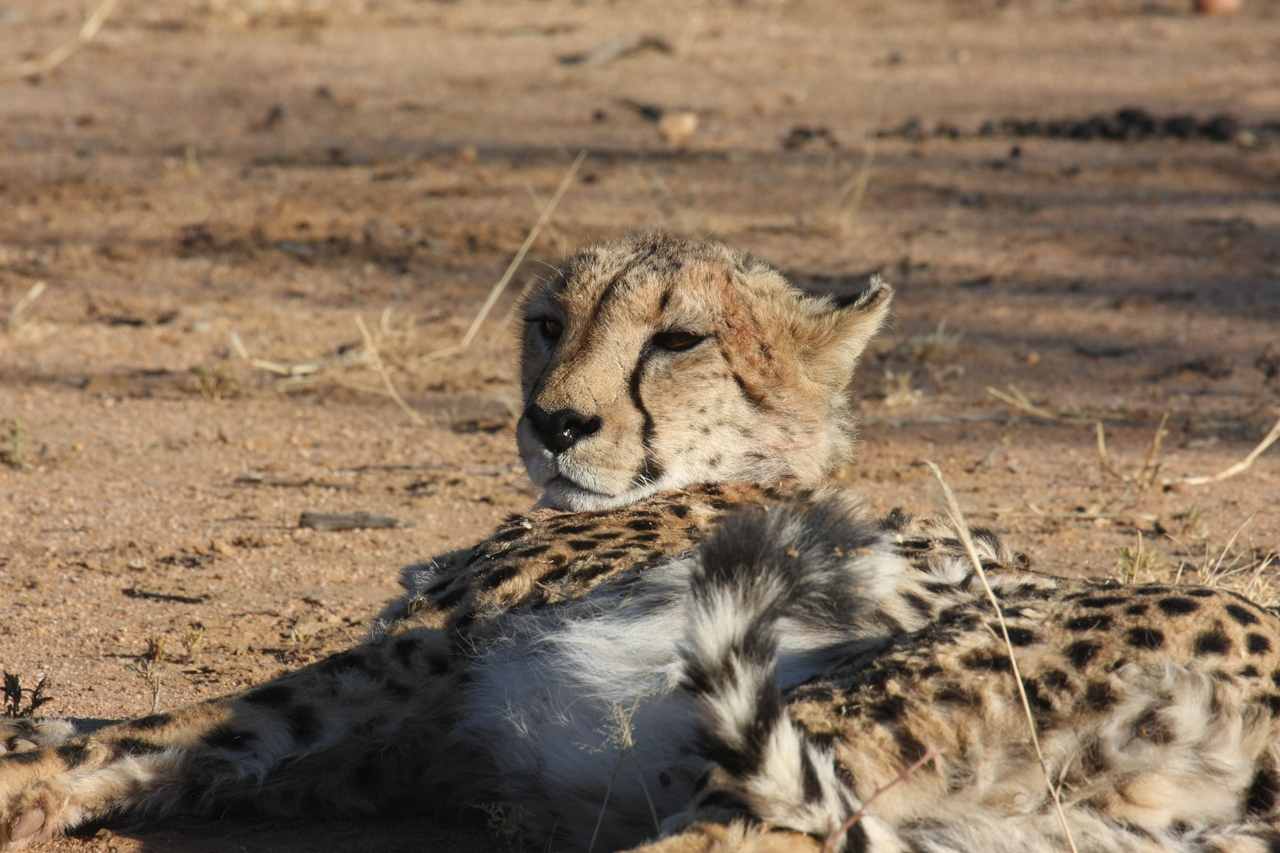 [915] 2016_06_22_02_48_49_Africa_Canon_EOS_40D_IMG__00125.jpg