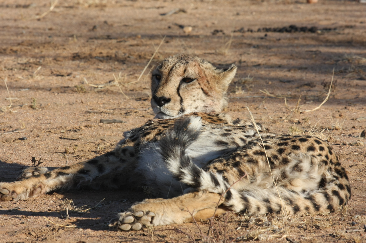 [925] 2016_06_22_02_48_52_Africa_Canon_EOS_40D_IMG__00127.jpg