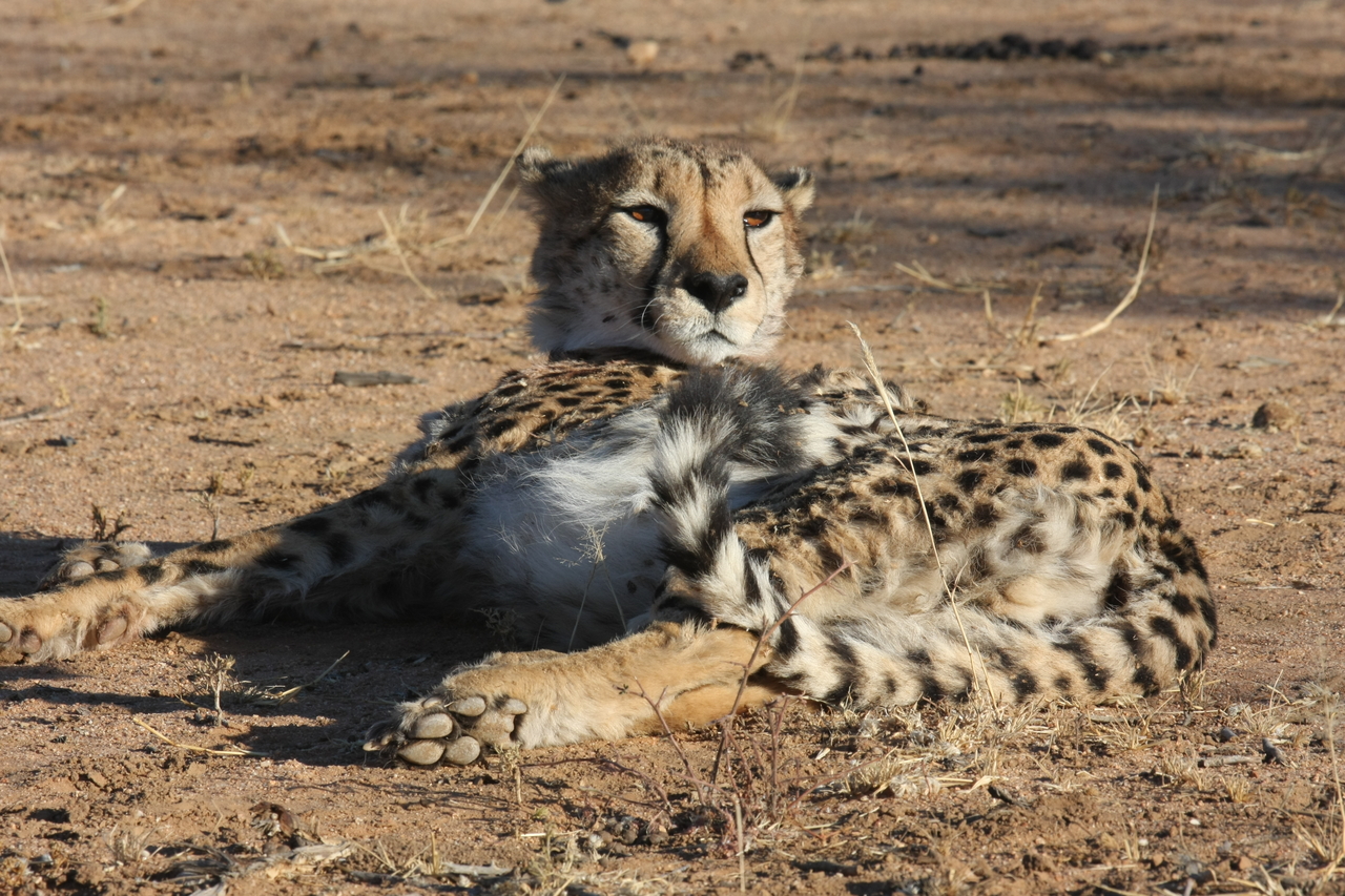 [936] 2016_06_22_02_48_57_Africa_Canon_EOS_40D_IMG__00130.jpg