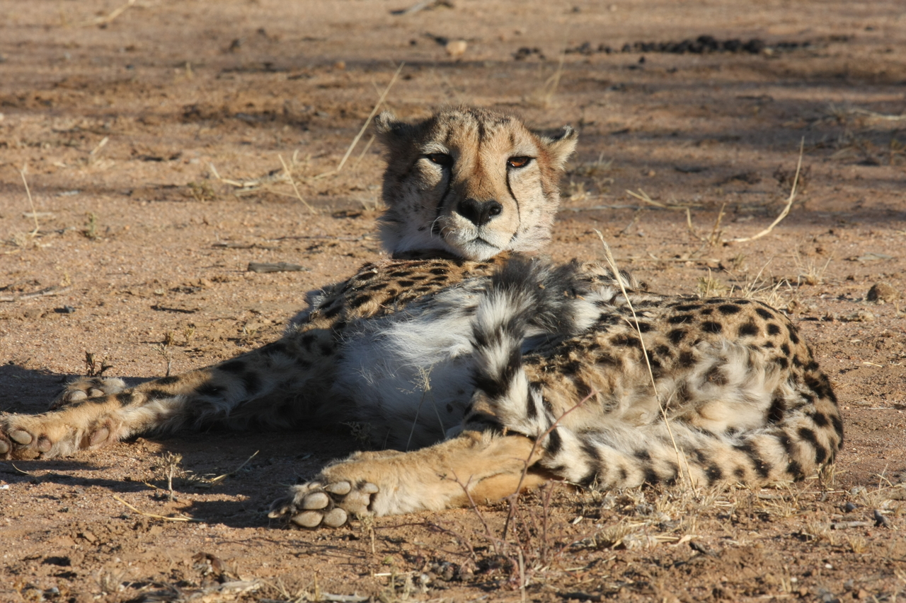 [937] 2016_06_22_02_48_57_Africa_Canon_EOS_40D_IMG__00148.jpg