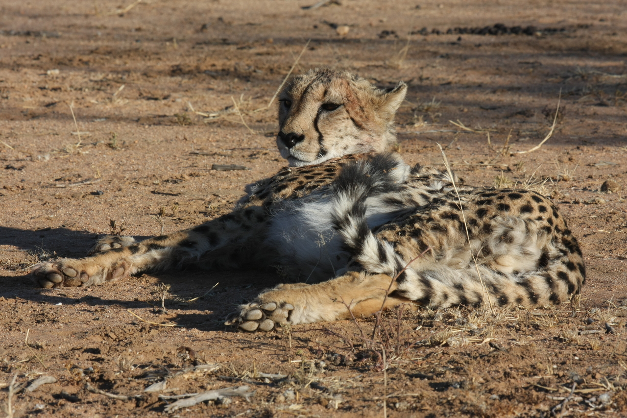 [942] 2016_06_22_02_49_18_Africa_Canon_EOS_40D_IMG__00132.jpg