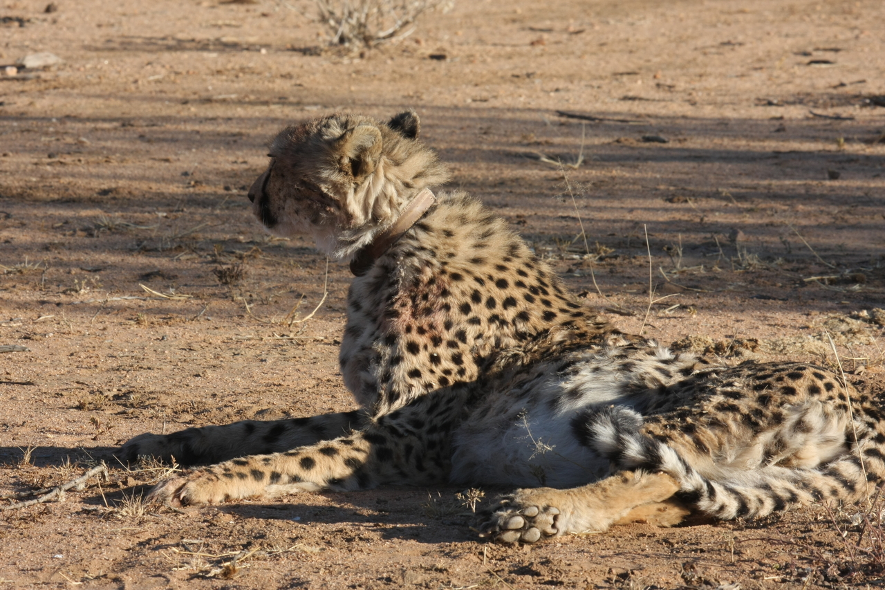 [953] 2016_06_22_02_49_55_Africa_Canon_EOS_40D_IMG__00135.jpg