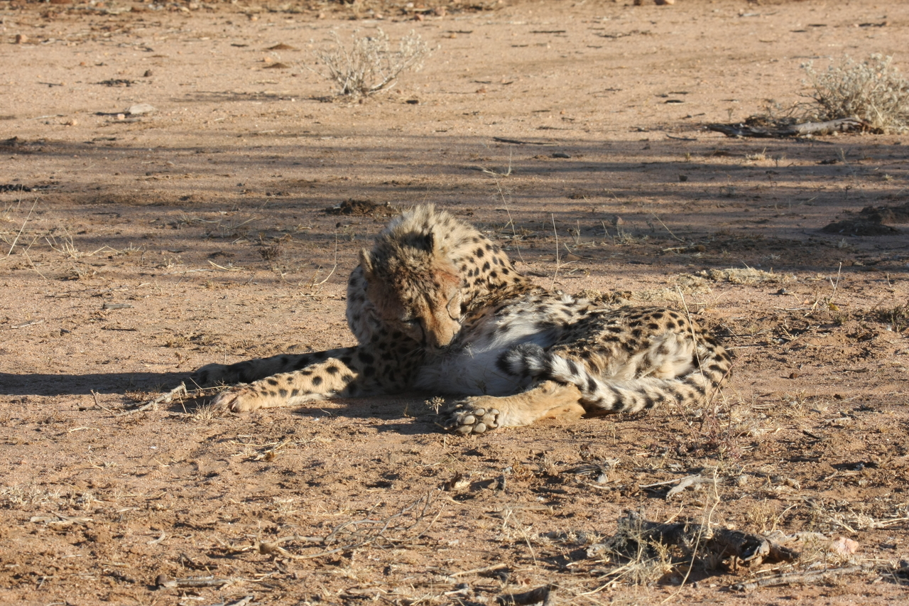 [996] 2016_06_22_02_50_30_Africa_Canon_EOS_40D_IMG__07614.jpg
