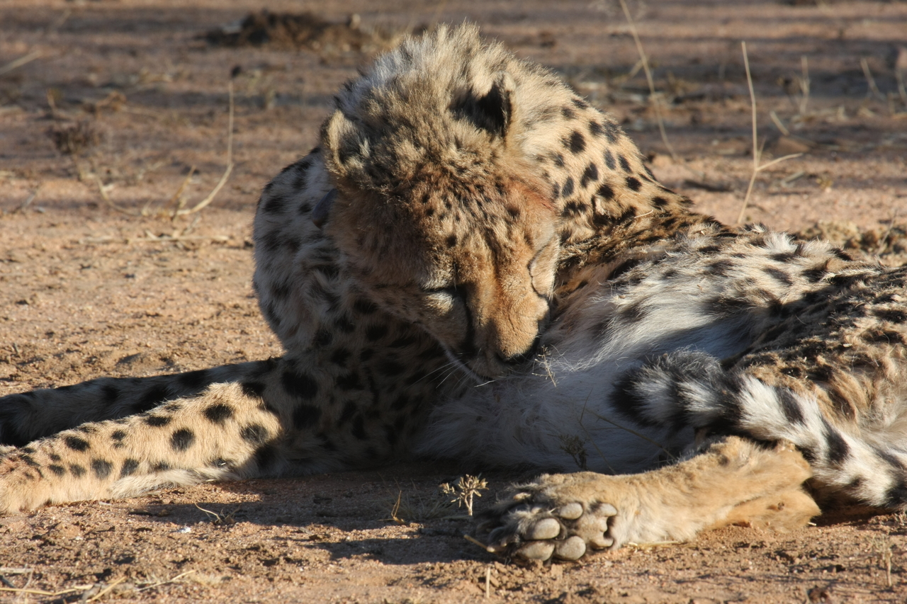 [1008] 2016_06_22_02_50_42_Africa_Canon_EOS_40D_IMG__07618.jpg