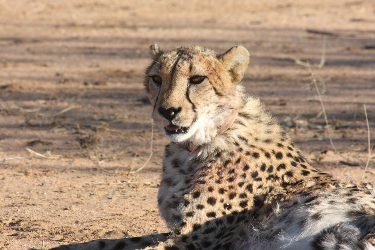 [1028] 2016_06_22_02_51_03_Africa_Canon_EOS_40D_IMG__07624.jpg
