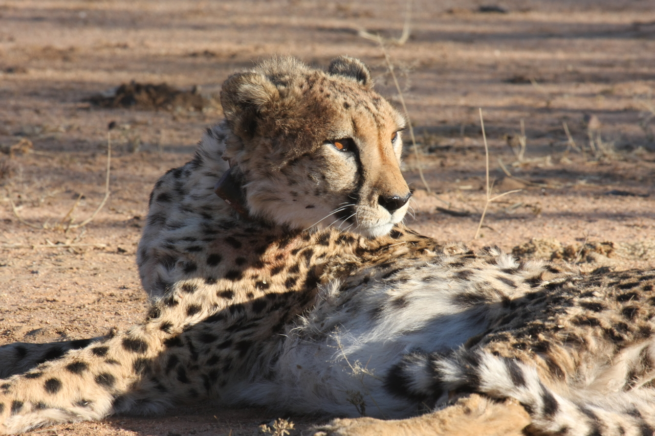 [1038] 2016_06_22_02_51_39_Africa_Canon_EOS_40D_IMG__07628.jpg