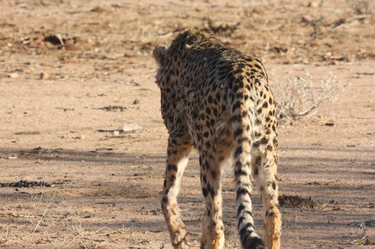 [1045] 2016_06_22_02_51_50_Africa_Canon_EOS_40D_IMG__07631.jpg