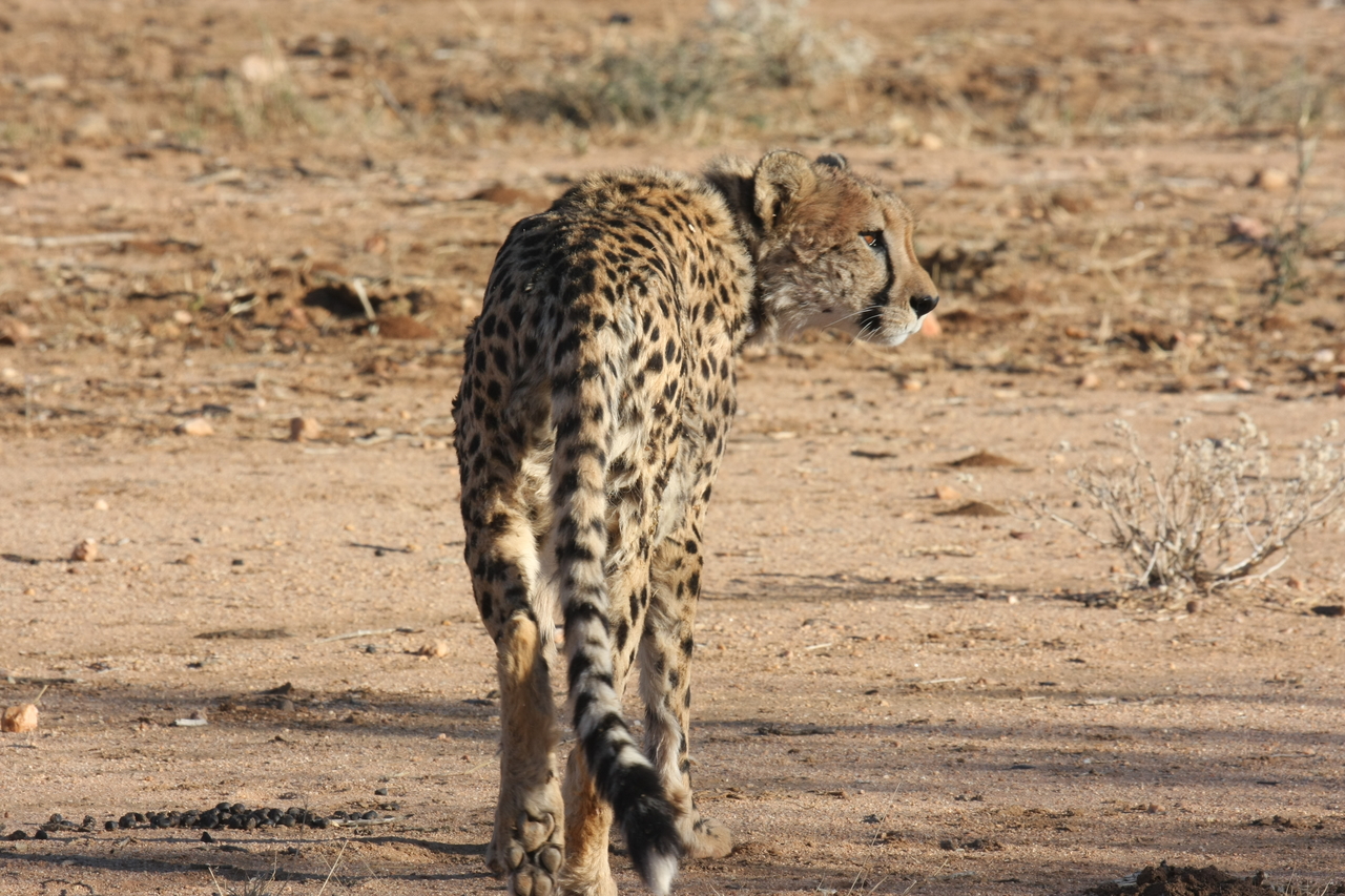 [1054] 2016_06_22_02_51_53_Africa_Canon_EOS_40D_IMG__07634.jpg
