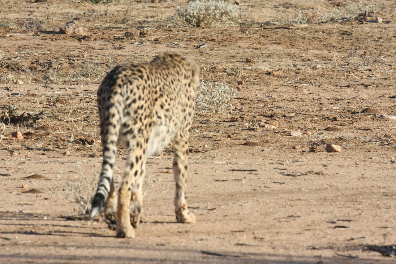 [1066] 2016_06_22_02_51_59_Africa_Canon_EOS_40D_IMG__07638.jpg