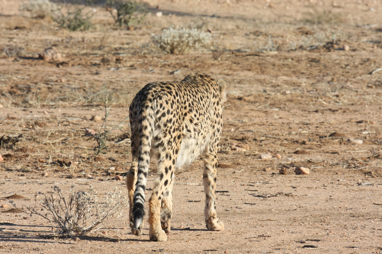[1068] 2016_06_22_02_52_00_Africa_Canon_EOS_40D_IMG__00192.jpg