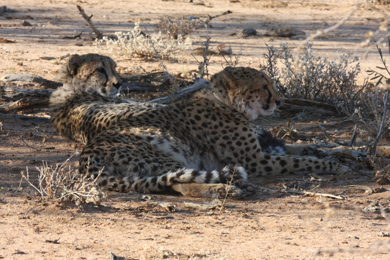 [1281] 2016_06_22_03_00_43_Africa_Canon_EOS_40D_IMG__00233.jpg