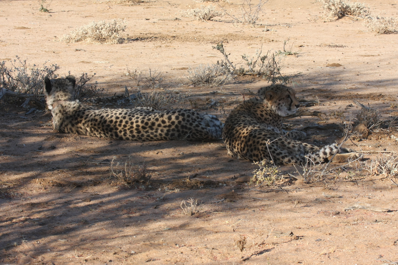 [1345] 2016_06_22_03_03_04_Africa_Canon_EOS_40D_IMG__07717.jpg
