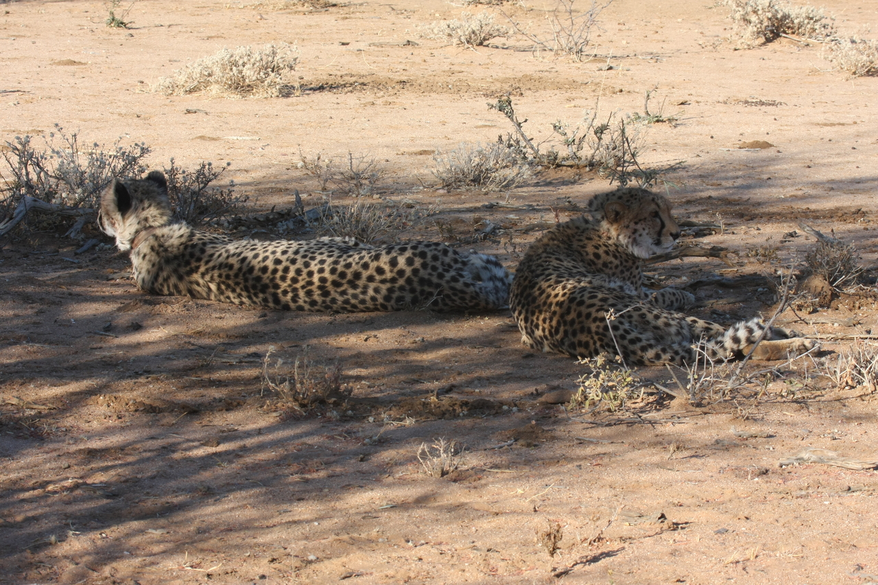 [1348] 2016_06_22_03_03_05_Africa_Canon_EOS_40D_IMG__07718.jpg