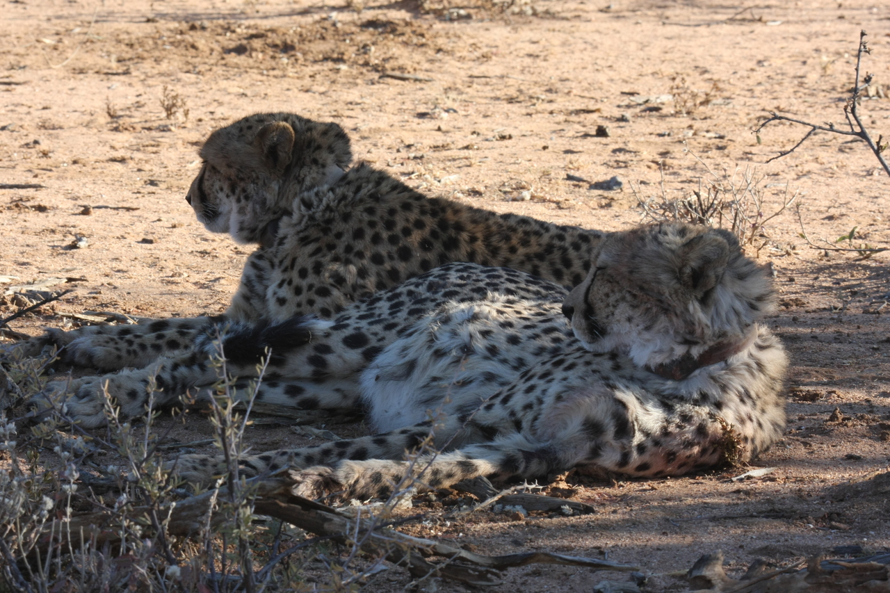 [1381] 2016_06_22_03_04_34_Africa_Canon_EOS_40D_IMG__07729.jpg