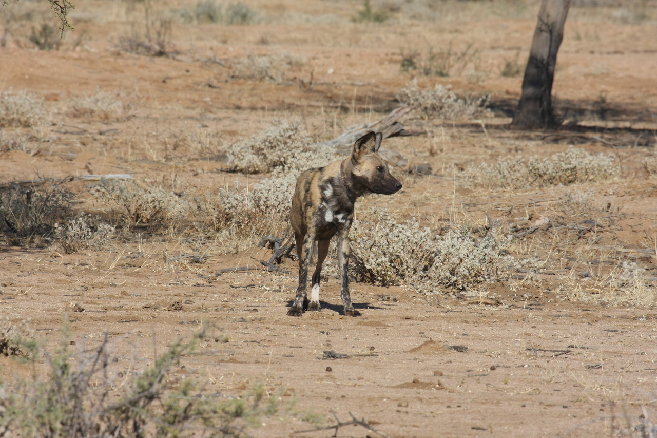 [1679] 2016_06_22_03_19_46_Africa_Canon_EOS_40D_IMG__07819.jpg