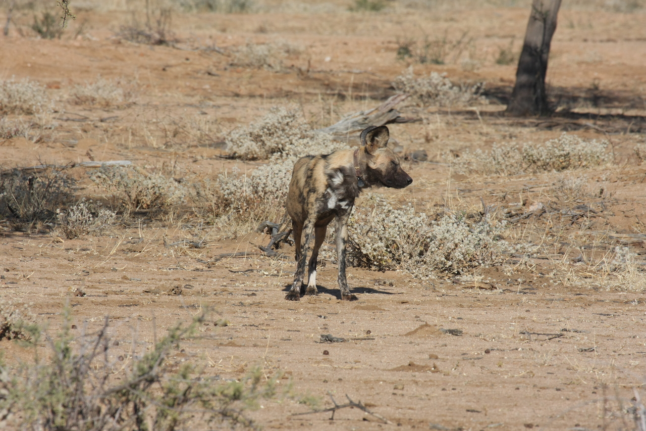 [1687] 2016_06_22_03_19_47_Africa_Canon_EOS_40D_IMG__07821.jpg