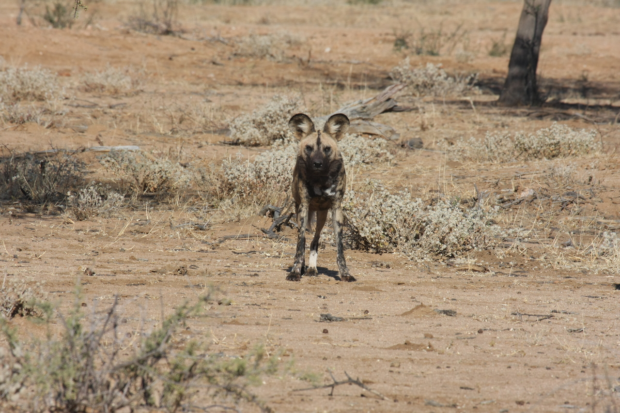 [1700] 2016_06_22_03_19_51_Africa_Canon_EOS_40D_IMG__07826.jpg
