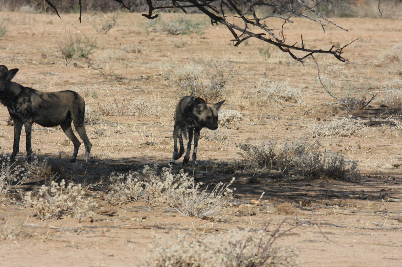 [1729] 2016_06_22_03_20_09_Africa_Canon_EOS_40D_IMG__07835.jpg