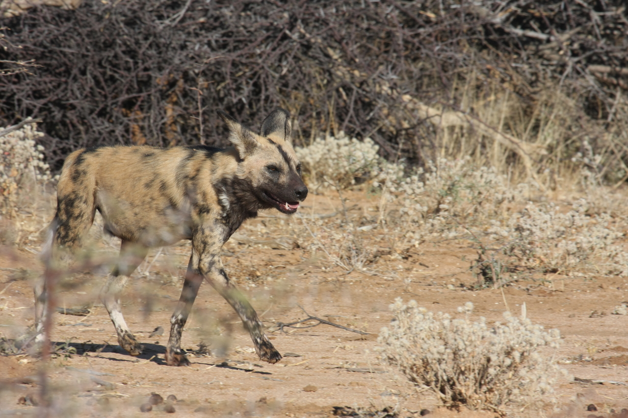 [1751] 2016_06_22_03_20_23_Africa_Canon_EOS_40D_IMG__07841.jpg