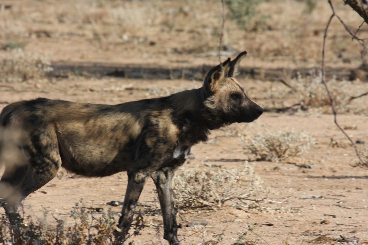 [1791] 2016_06_22_03_20_49_Africa_Canon_EOS_40D_IMG__07855.jpg
