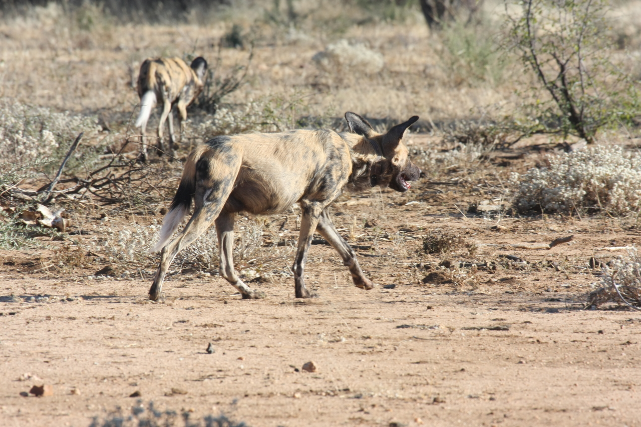[1800] 2016_06_22_03_21_28_Africa_Canon_EOS_40D_IMG__07858.jpg