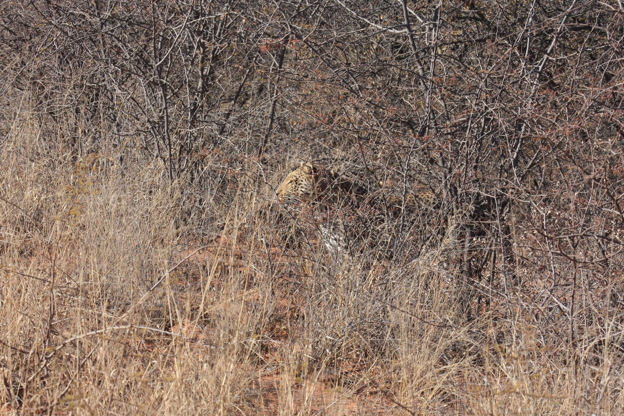 [1931] 2016_06_22_03_56_00_Africa_Canon_EOS_40D_IMG__07895.jpg