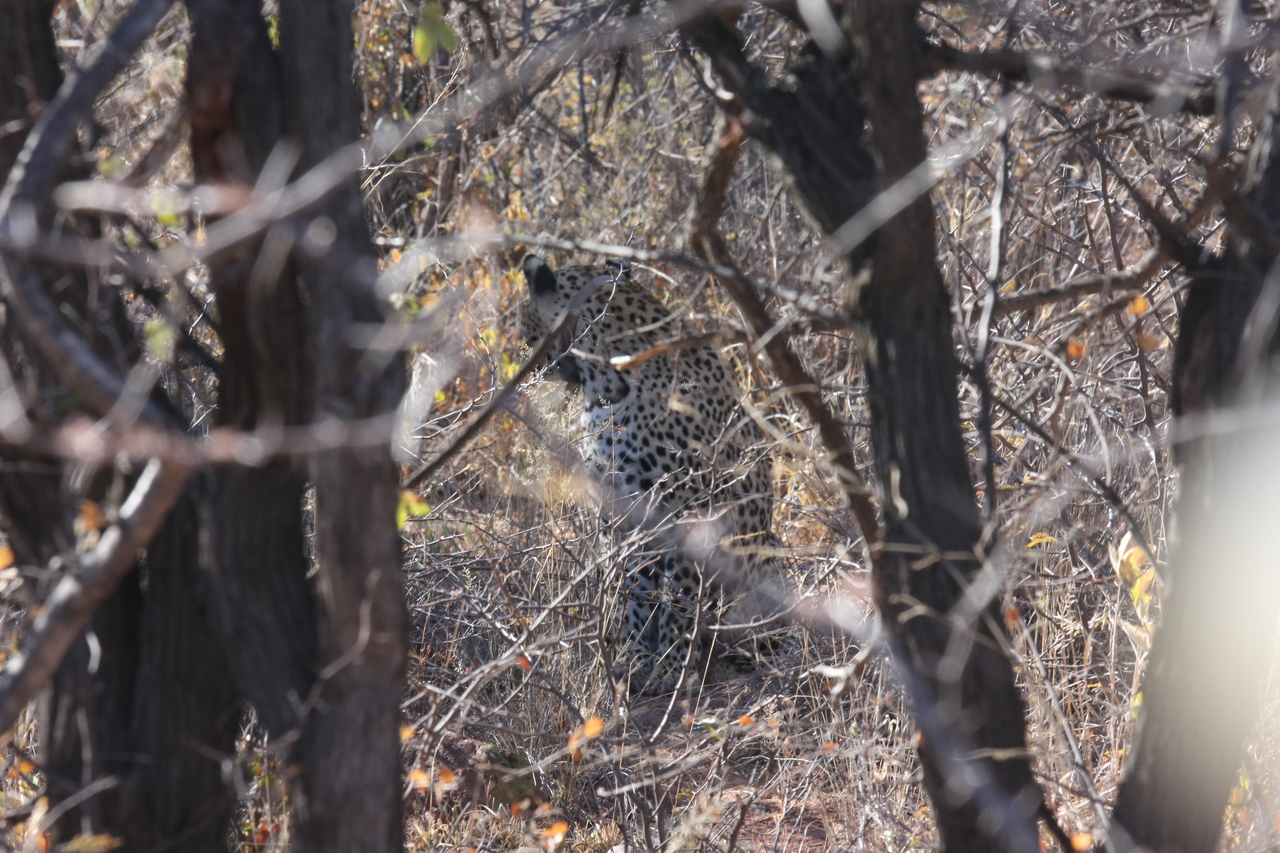 [1983] 2016_06_22_04_05_09_Africa_Canon_EOS_40D_IMG__07911.jpg