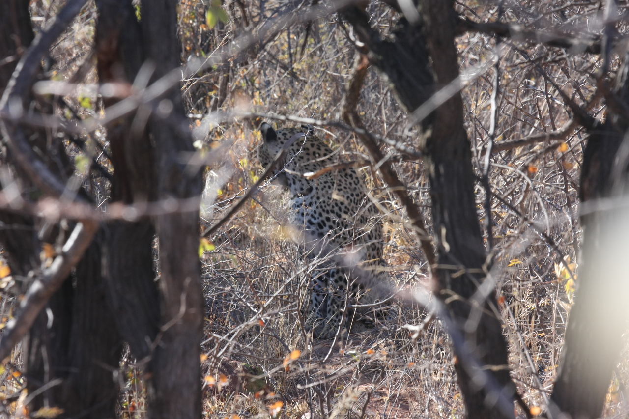 [1984] 2016_06_22_04_05_09_Africa_Canon_EOS_40D_IMG__07912.jpg