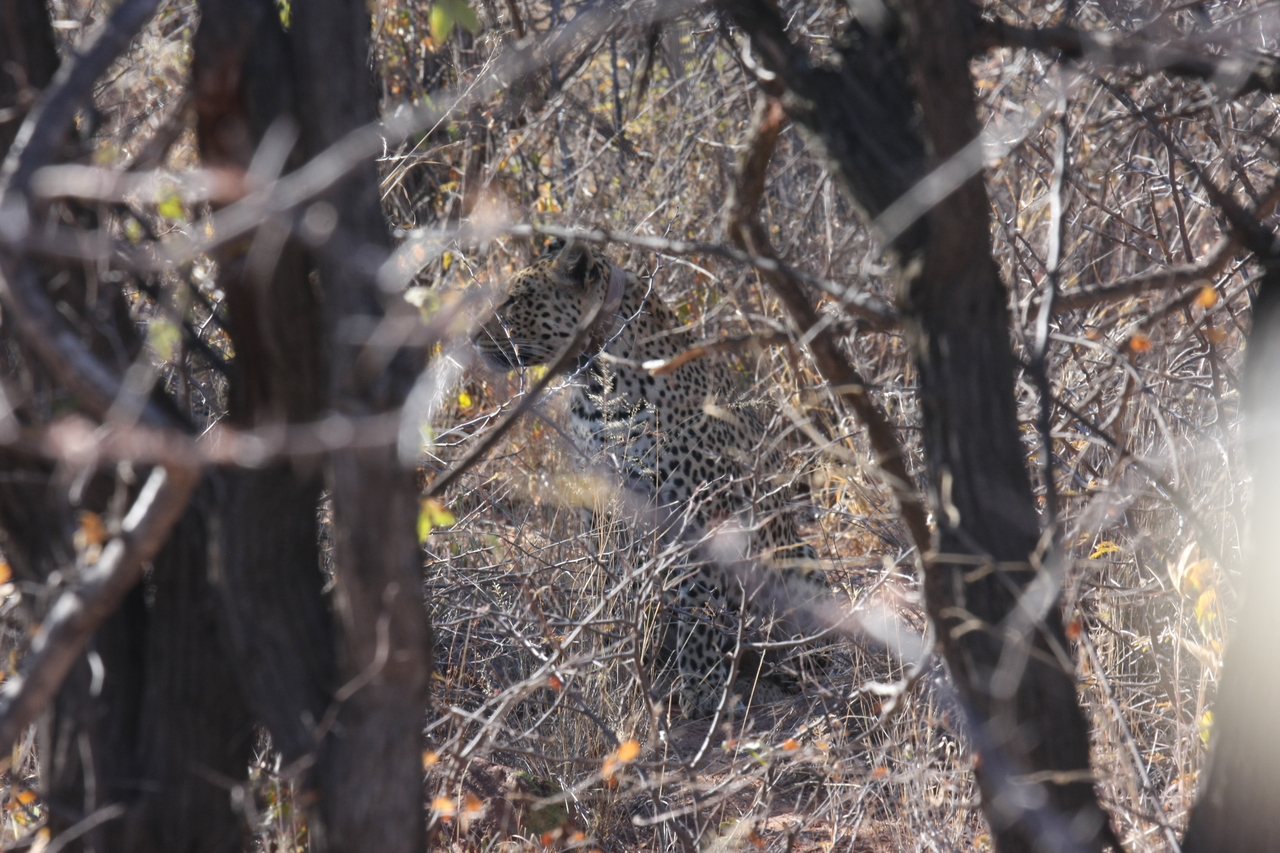 [2009] 2016_06_22_04_05_23_Africa_Canon_EOS_40D_IMG__07921.jpg