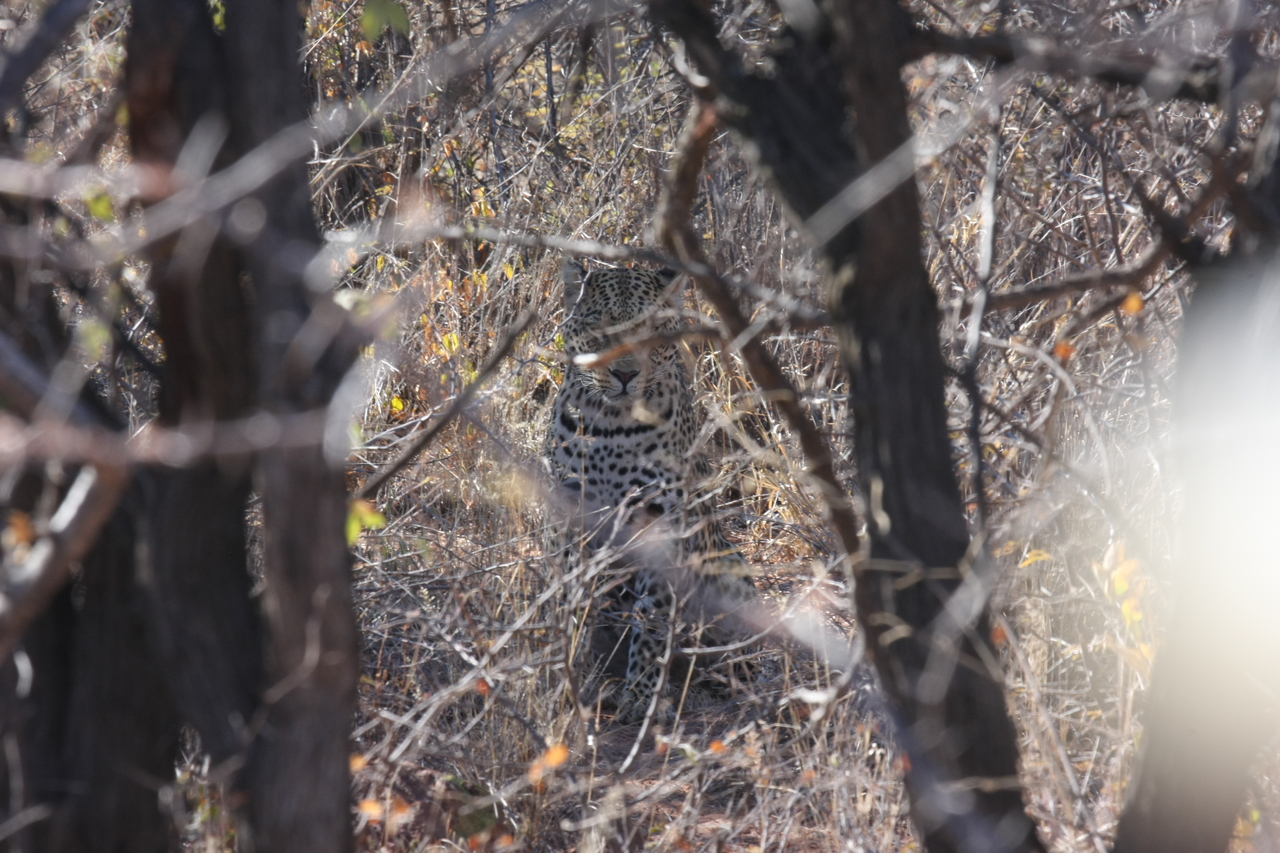 [2017] 2016_06_22_04_05_28_Africa_Canon_EOS_40D_IMG__07923.jpg