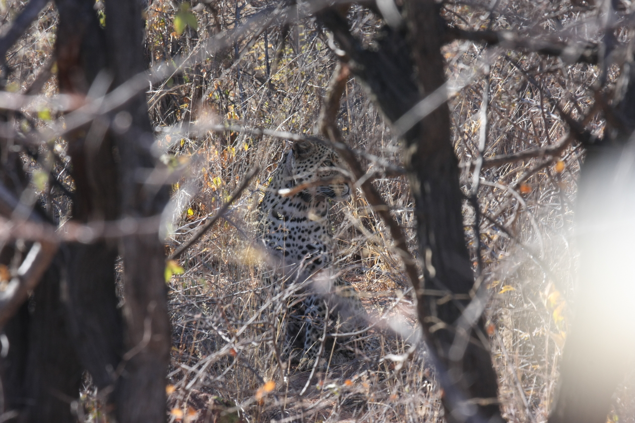 [2021] 2016_06_22_04_05_29_Africa_Canon_EOS_40D_IMG__07925.jpg