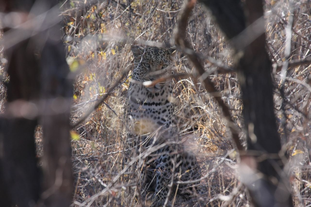 [2029] 2016_06_22_04_05_45_Africa_Canon_EOS_40D_IMG__07927.jpg