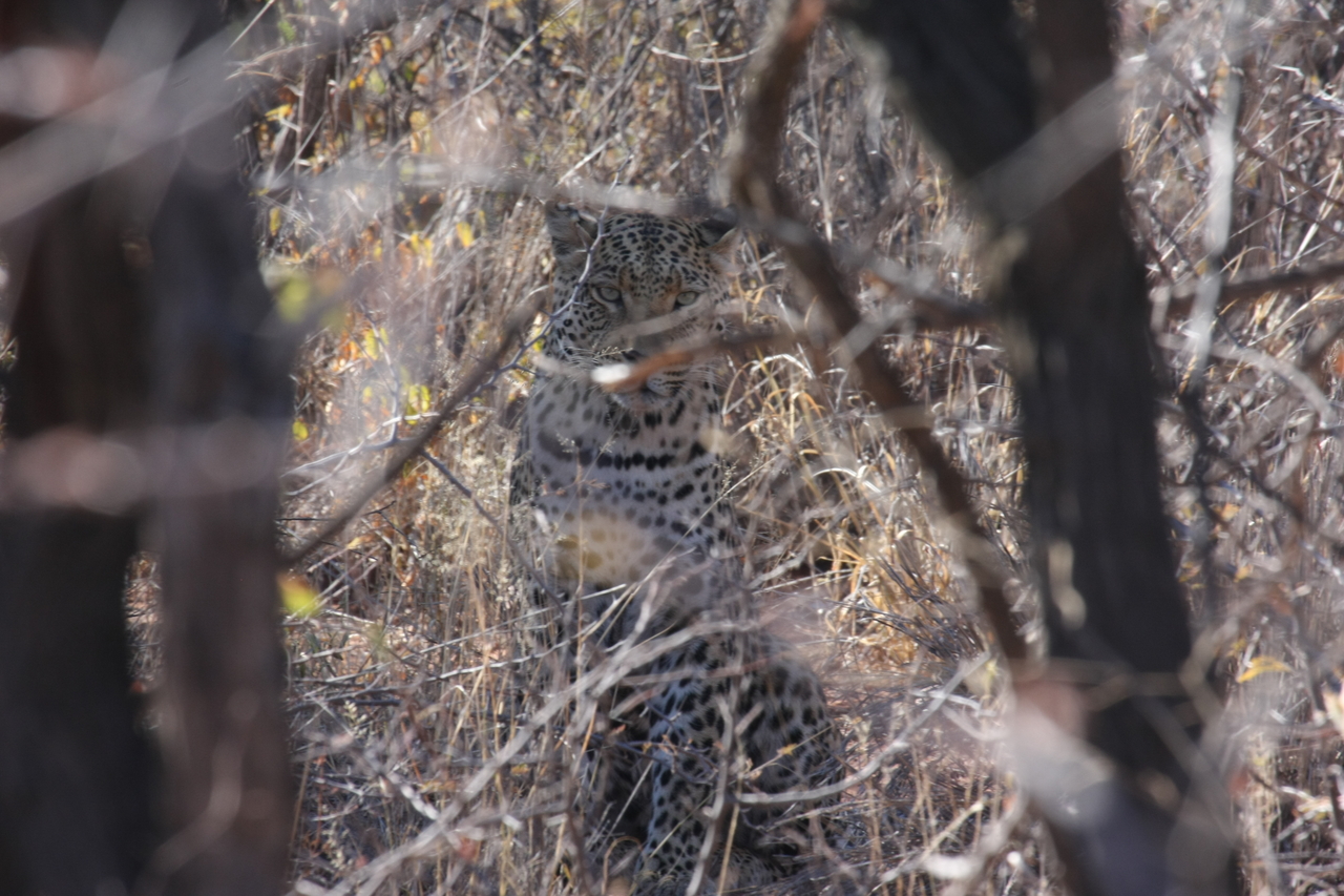 [2045] 2016_06_22_04_05_47_Africa_Canon_EOS_40D_IMG__07933.jpg