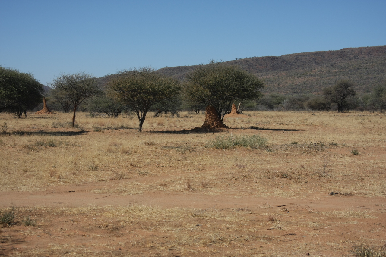 [2283] 2016_06_22_07_39_47_Africa_Canon_EOS_40D_IMG__07981.jpg