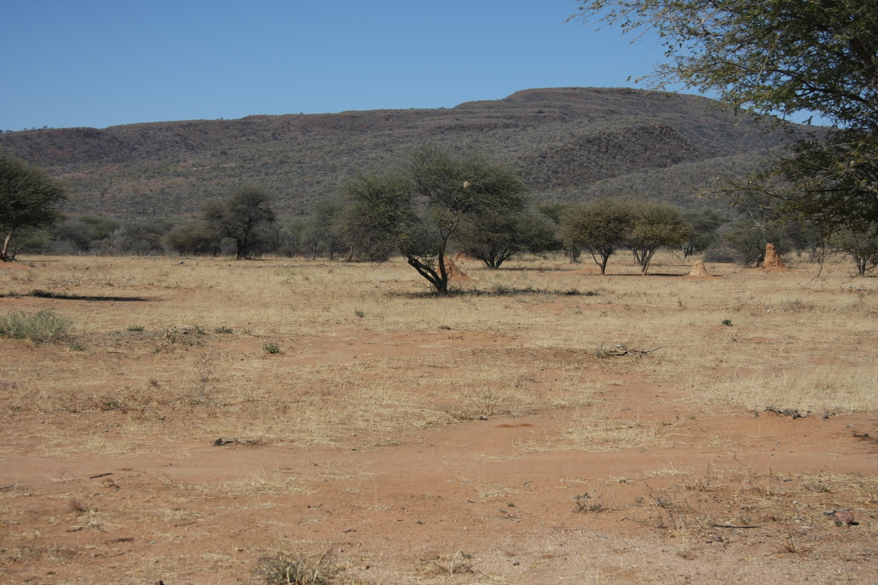 [2286] 2016_06_22_07_39_54_Africa_Canon_EOS_40D_IMG__07982.jpg