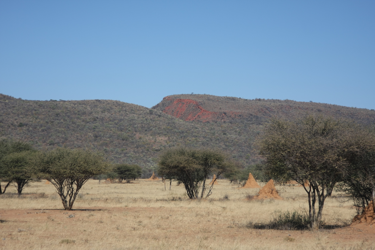 [2291] 2016_06_22_07_41_11_Africa_Canon_EOS_40D_IMG__00519.jpg