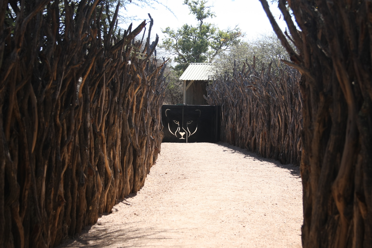 [2314] 2016_06_22_07_43_08_Africa_Canon_EOS_40D_IMG__00526.jpg