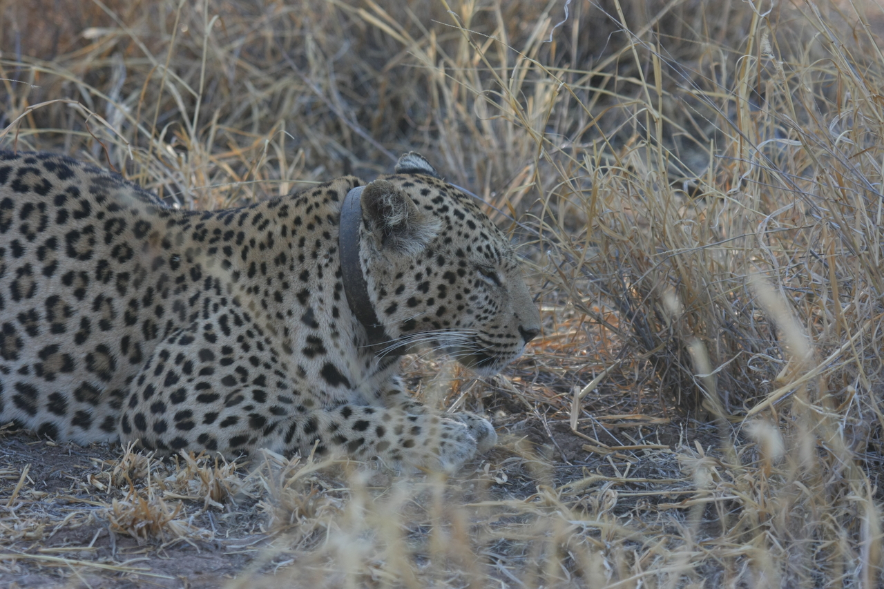 [2619] 2016_06_22_11_00_03_Africa_Canon_EOS_40D_IMG__08009.jpg