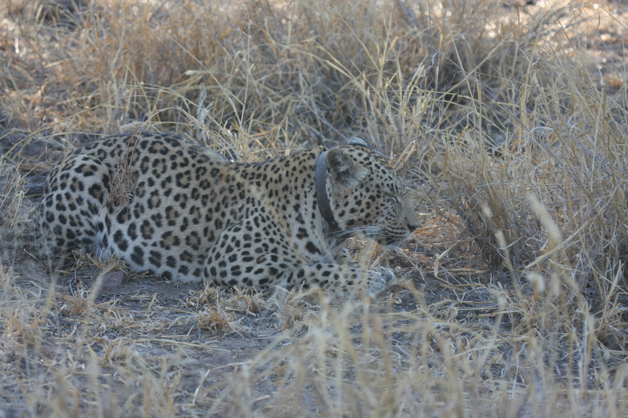 [2623] 2016_06_22_11_00_09_Africa_Canon_EOS_40D_IMG__00564.jpg
