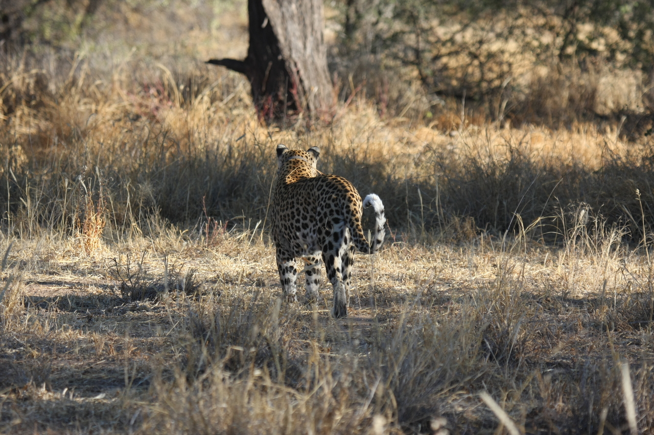 [2823] 2016_06_22_11_03_34_Africa_Canon_EOS_40D_IMG__08075.jpg