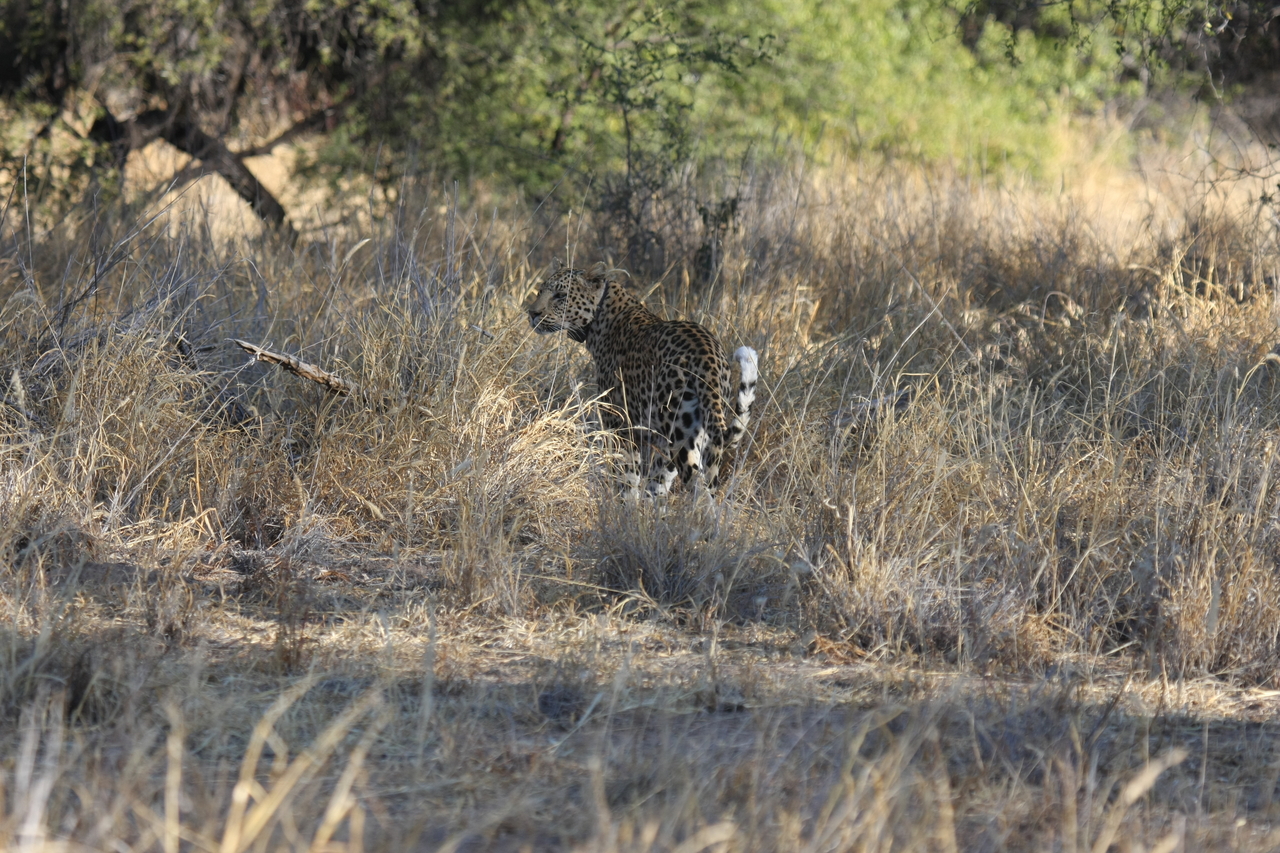 [2839] 2016_06_22_11_04_00_Africa_Canon_EOS_40D_IMG__08079.jpg