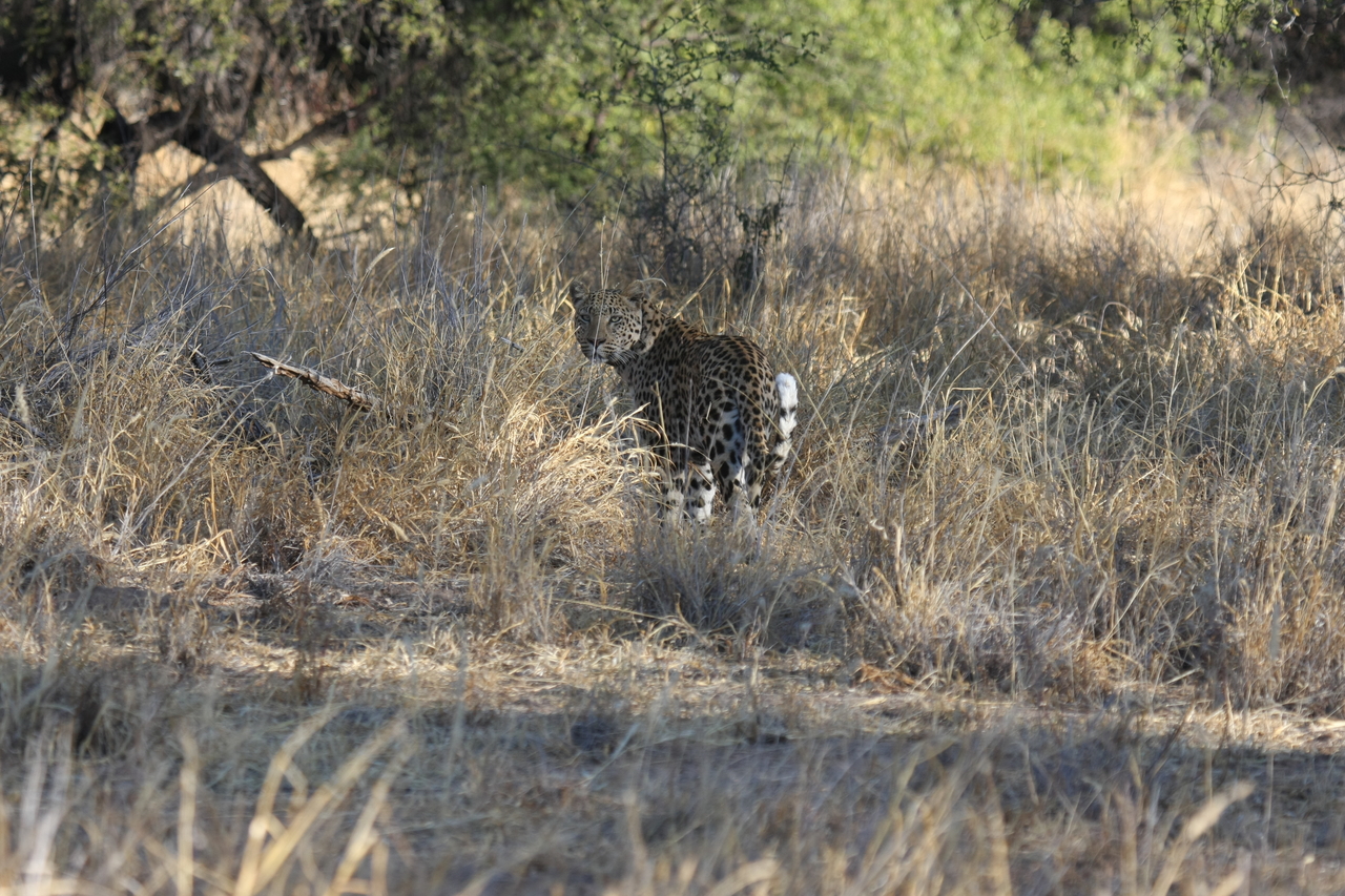 [2844] 2016_06_22_11_04_01_Africa_Canon_EOS_40D_IMG__08082.jpg