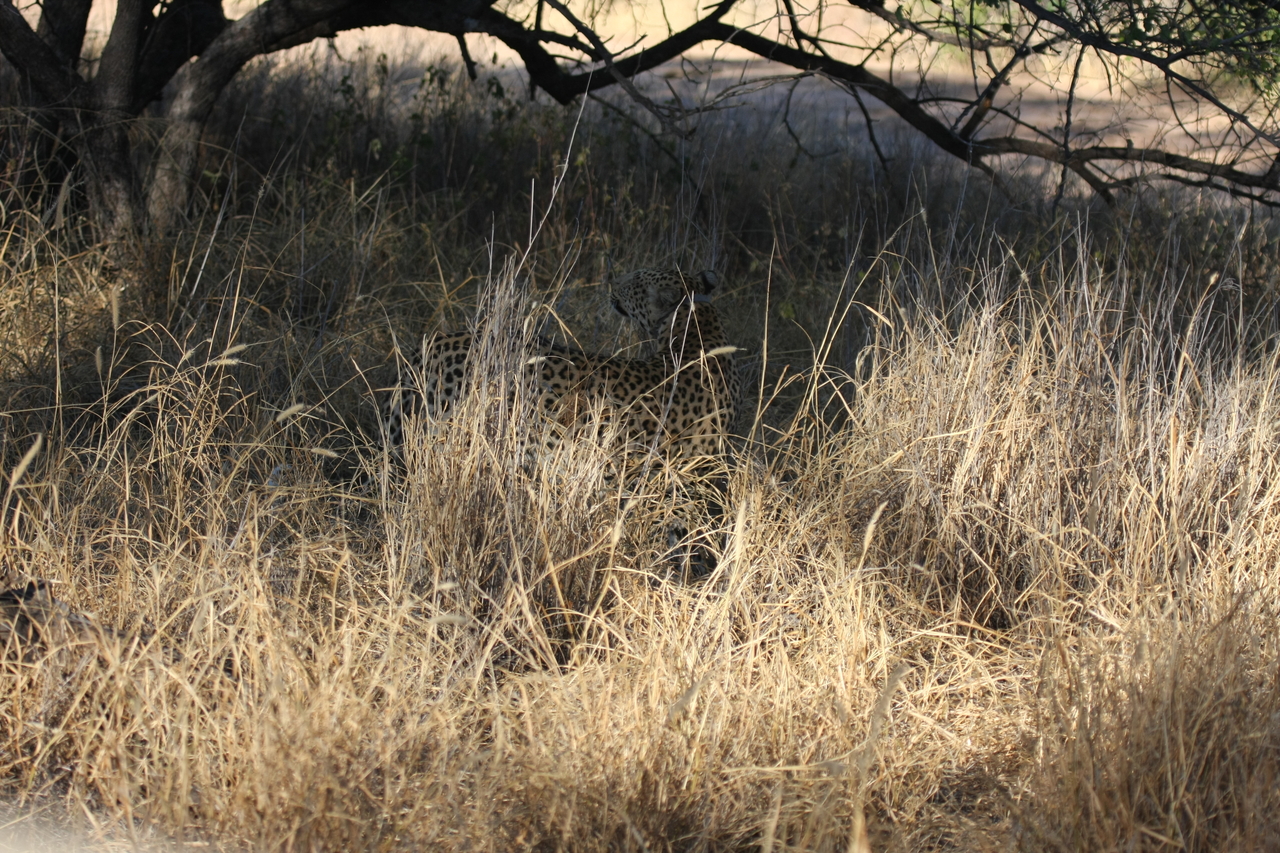 [2892] 2016_06_22_11_05_51_Africa_Canon_EOS_40D_IMG__00634.jpg
