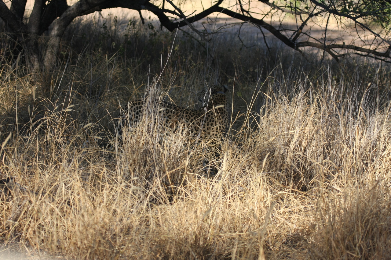 [2896] 2016_06_22_11_05_51_Africa_Canon_EOS_40D_IMG__08098.jpg