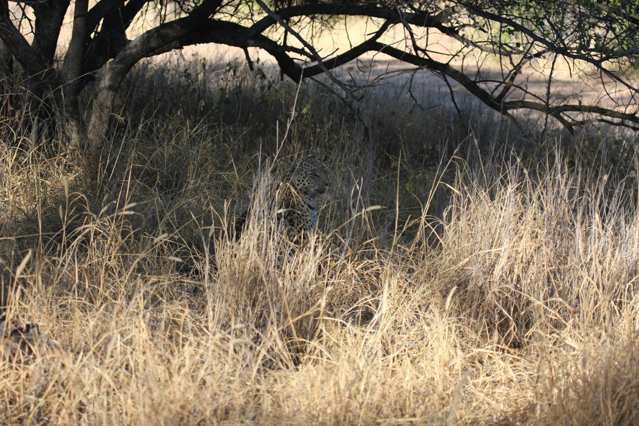 [2904] 2016_06_22_11_06_17_Africa_Canon_EOS_40D_IMG__08102.jpg