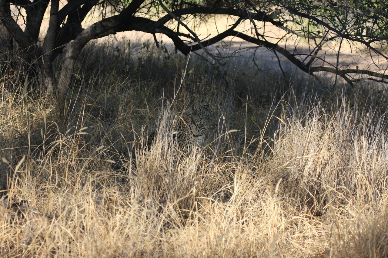 [2907] 2016_06_22_11_06_18_Africa_Canon_EOS_40D_IMG__08103.jpg