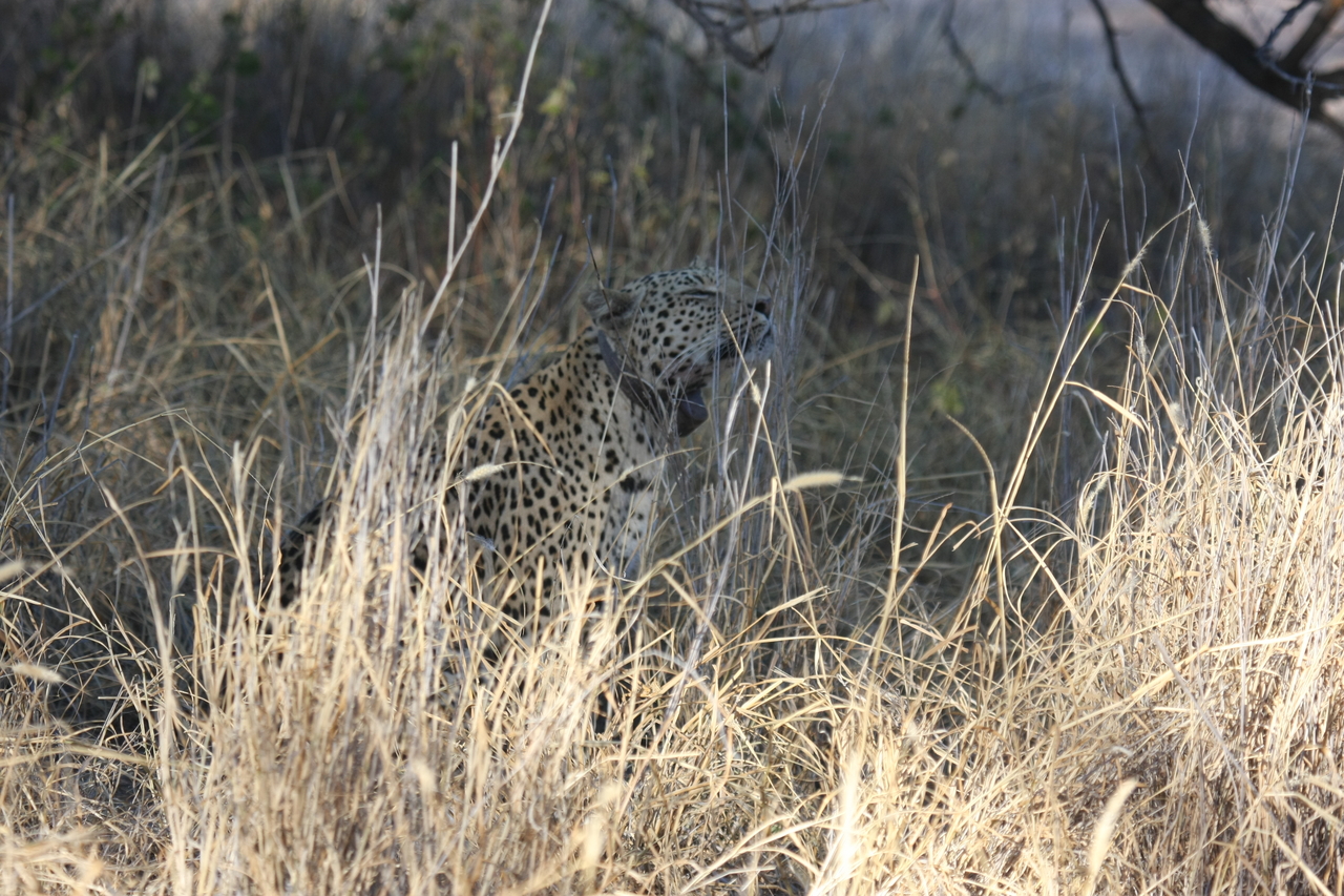 [2919] 2016_06_22_11_06_25_Africa_Canon_EOS_40D_IMG__08107.jpg